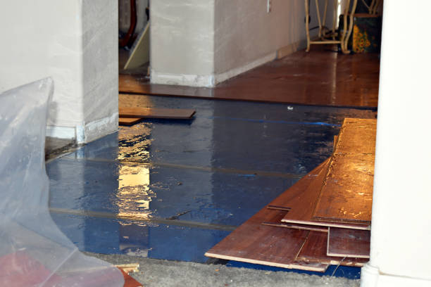 Professional Flood Cleanup technician working in North Hills, NY